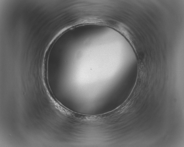 X0000082961147200702152259