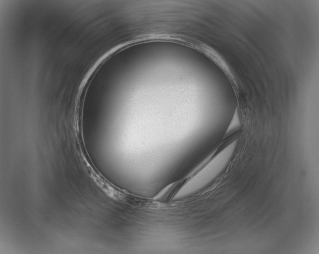 X0000082961148200702152259