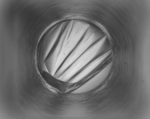 X0000082961149200702152259