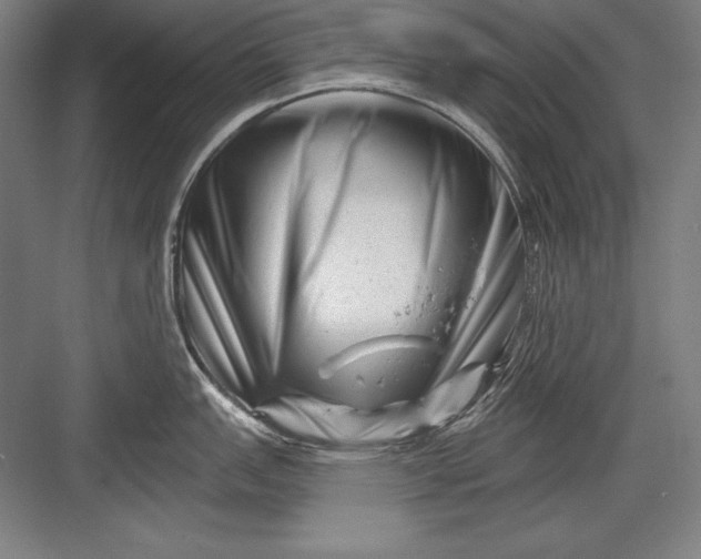 X0000082961151200702152259