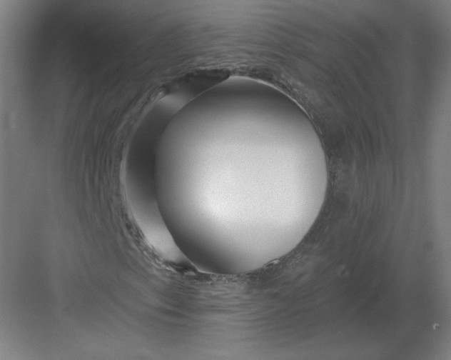 X0000082961153200702152258