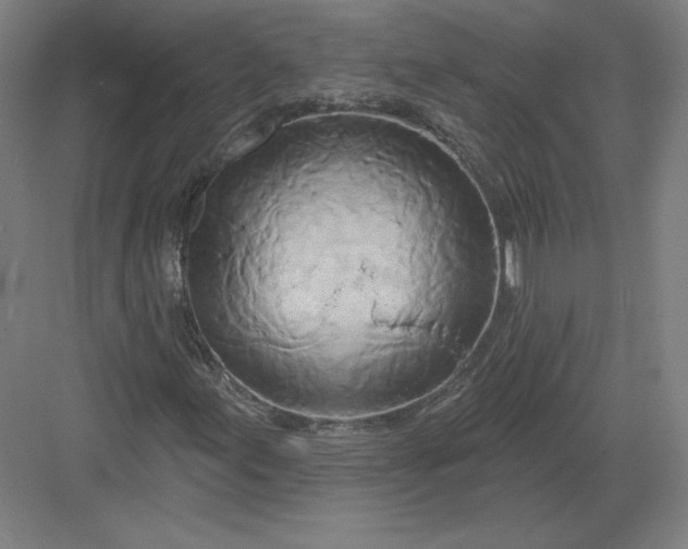 X0000082961155200702152258