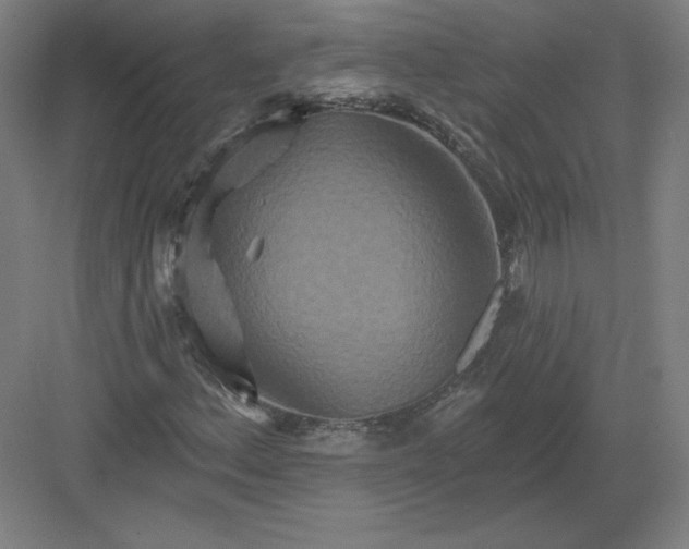 X0000082961156200702152258