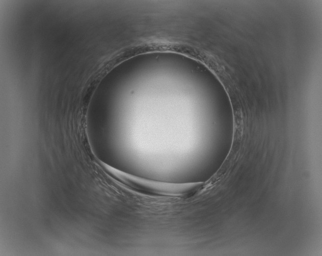 X0000082961157200702152258