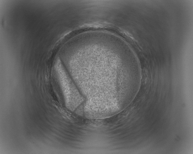 X0000082961158200702152258