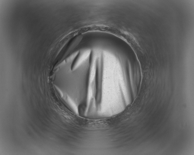 X0000082961159200702152258