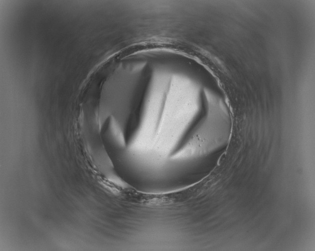 X0000082961160200702152258