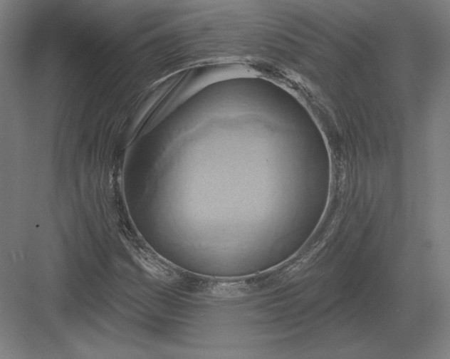 X0000082961161200702152258