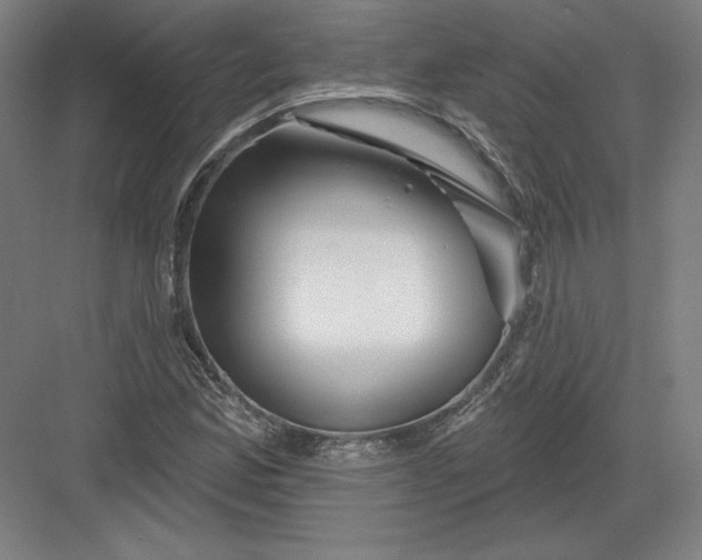 X0000082961165200702152258