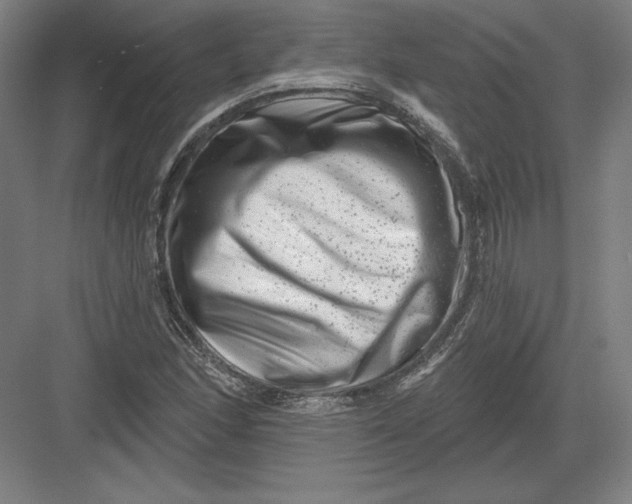 X0000082961166200702152258