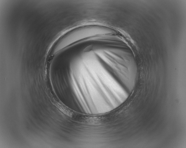 X0000082961167200702152258