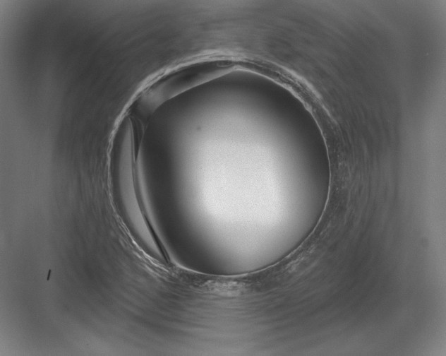 X0000082961168200702152258