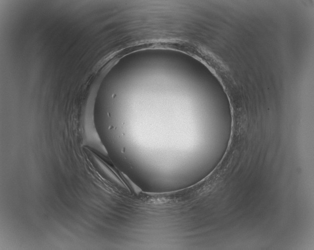 X0000082961169200702152258