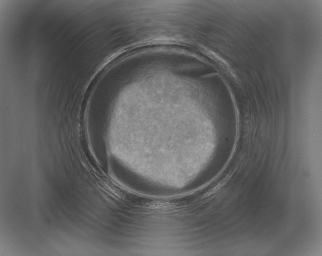 X0000082961170200702152258