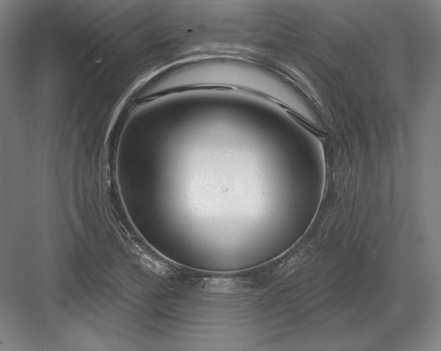 X0000082961172200702152258