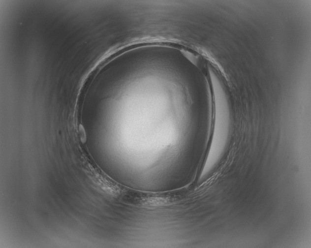 X0000082961173200702152258