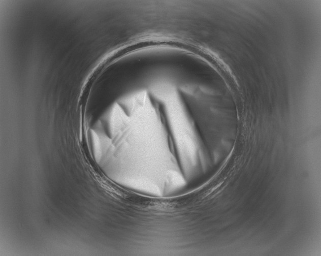 X0000082961175200702152258