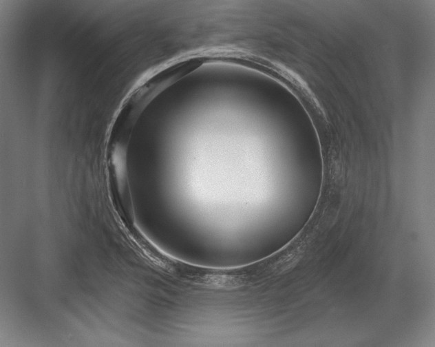 X0000082961176200702152258