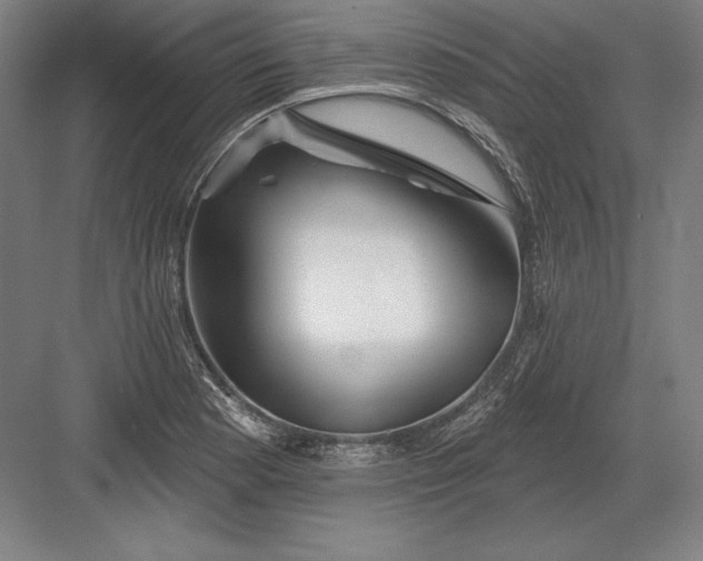 X0000082961177200702152258