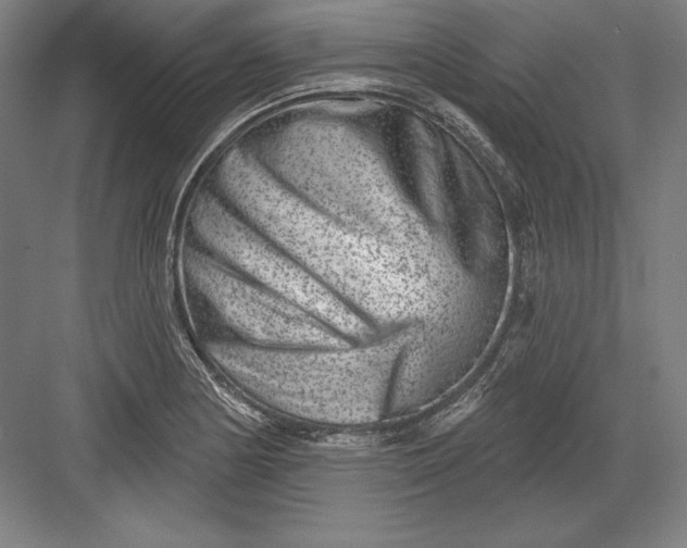 X0000082961178200702152258