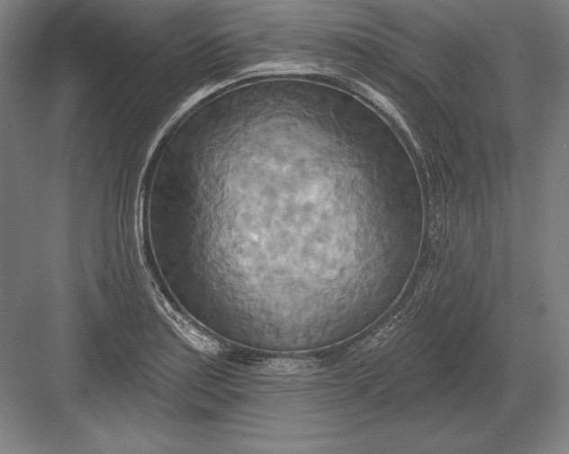 X0000082961179200702152258