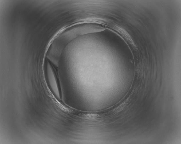 X0000082961180200702152258