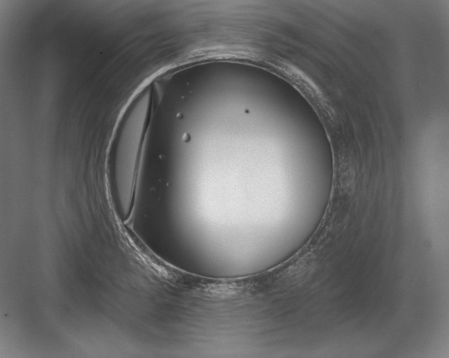 X0000082961182200702152258