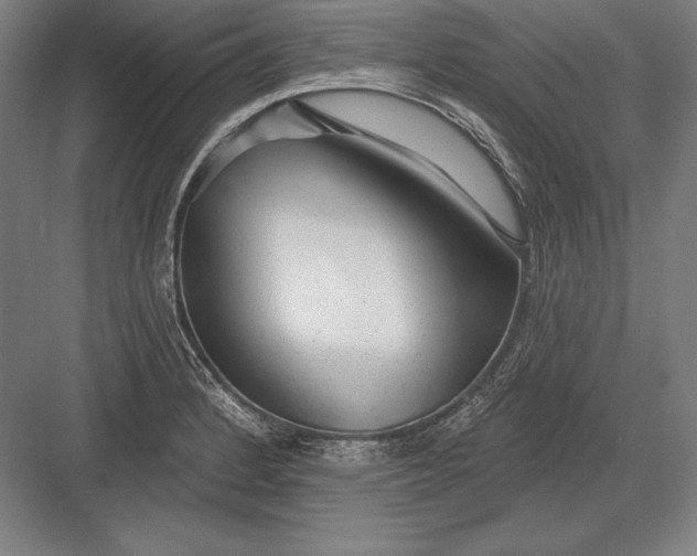 X0000082961184200702152258