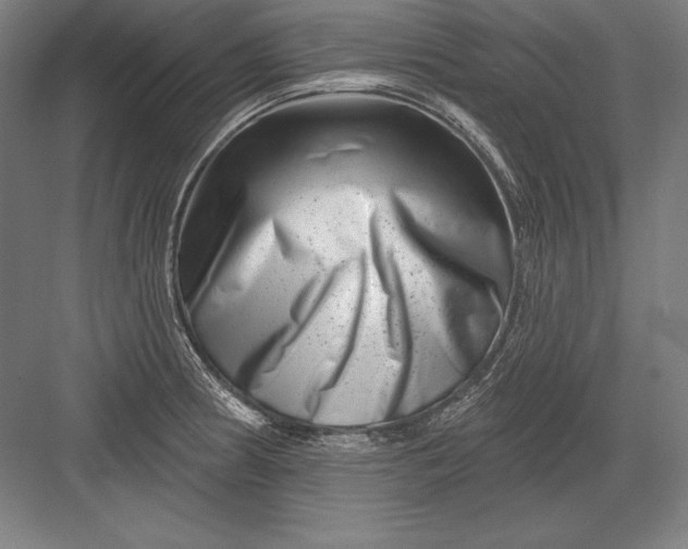 X0000082961186200702152258