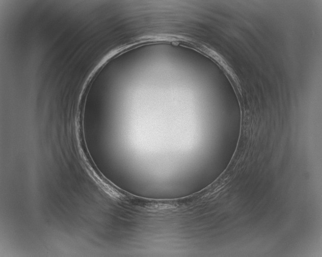 X0000082961187200702152258