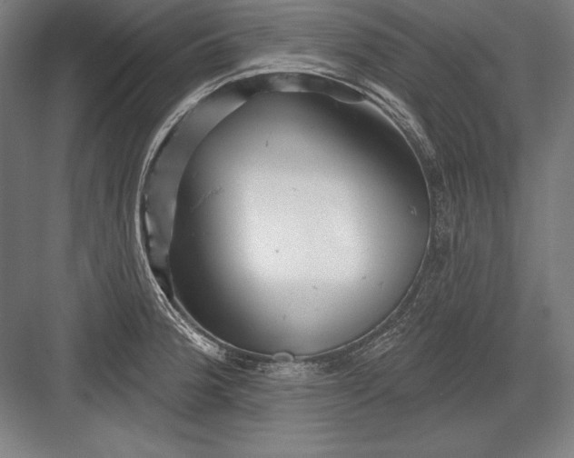 X0000082961188200702152258