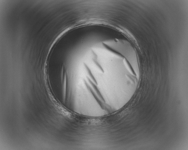 X0000082961190200702152258