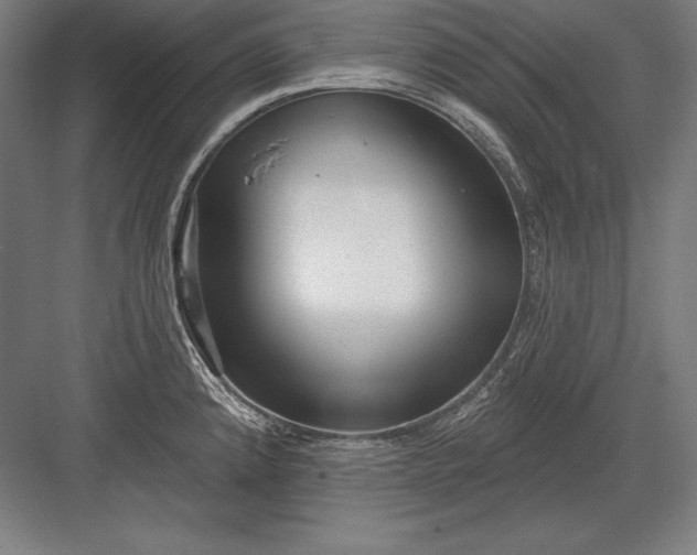 X0000082961192200702152258