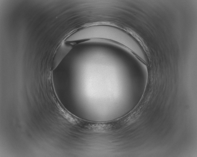 X0000082961193200702152258