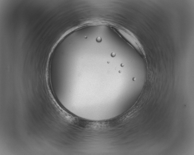 X0000082961195200702152258