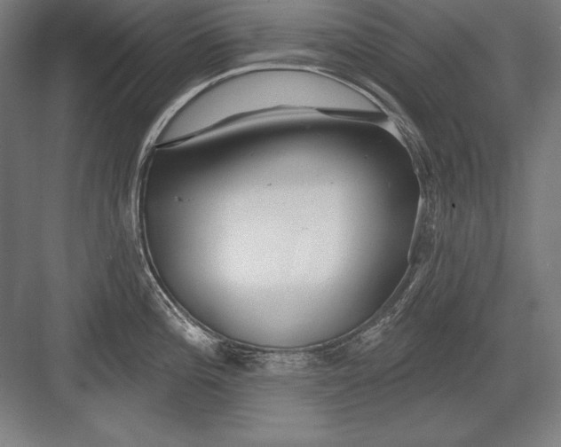 X0000082961196200702152258