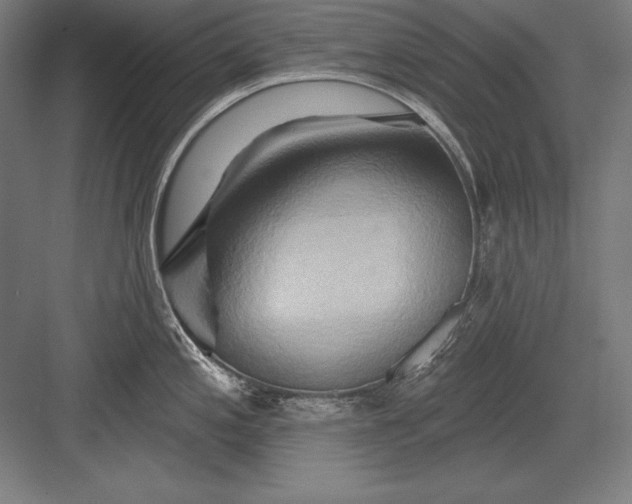 X0000082961197200702152258