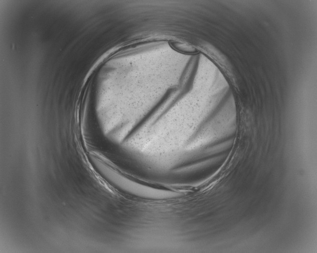 X0000082961198200702152257