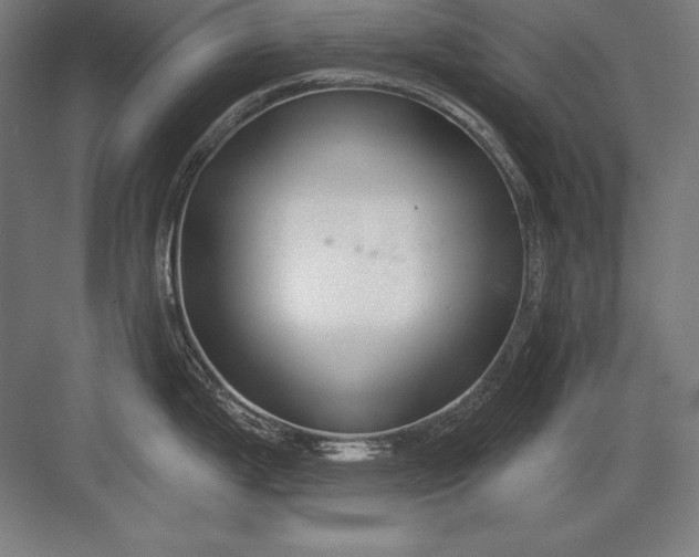 X0000082961199200702152257