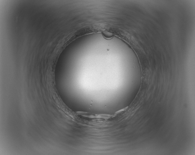 X0000082961201200702152257