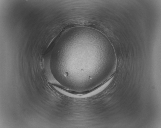 X0000082961202200702152257