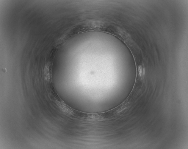 X0000082961203200702152257