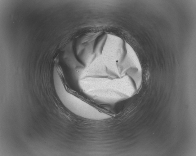 X0000082961204200702152257