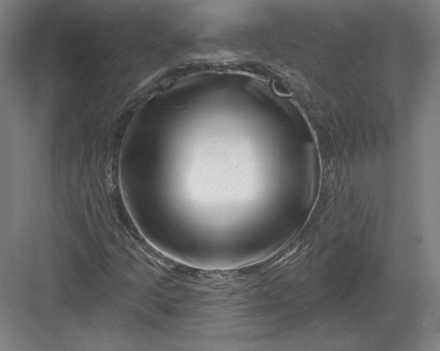 X0000082961205200702152257