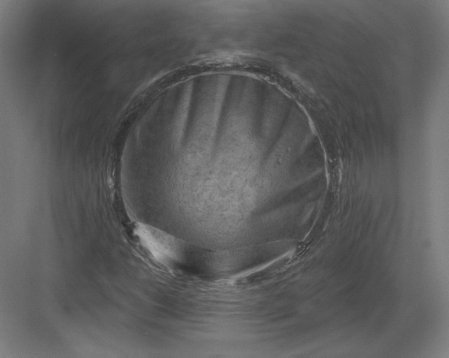 X0000082961206200702152257