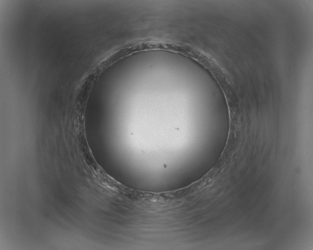 X0000082961207200702152257