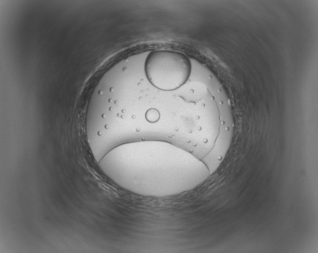 X0000082961208200702152257