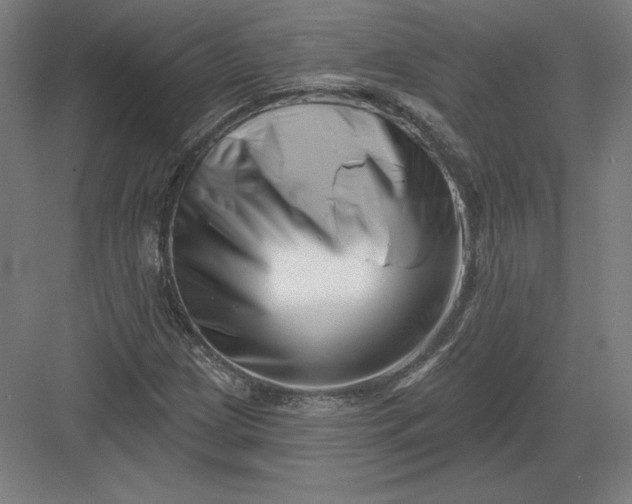 X0000082961209200702152257