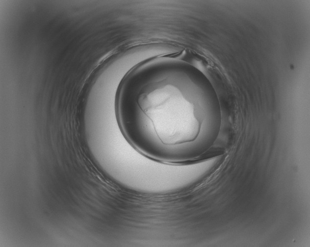 X0000082961210200702152257