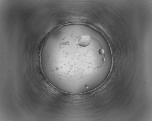 X0000082961211200702152257